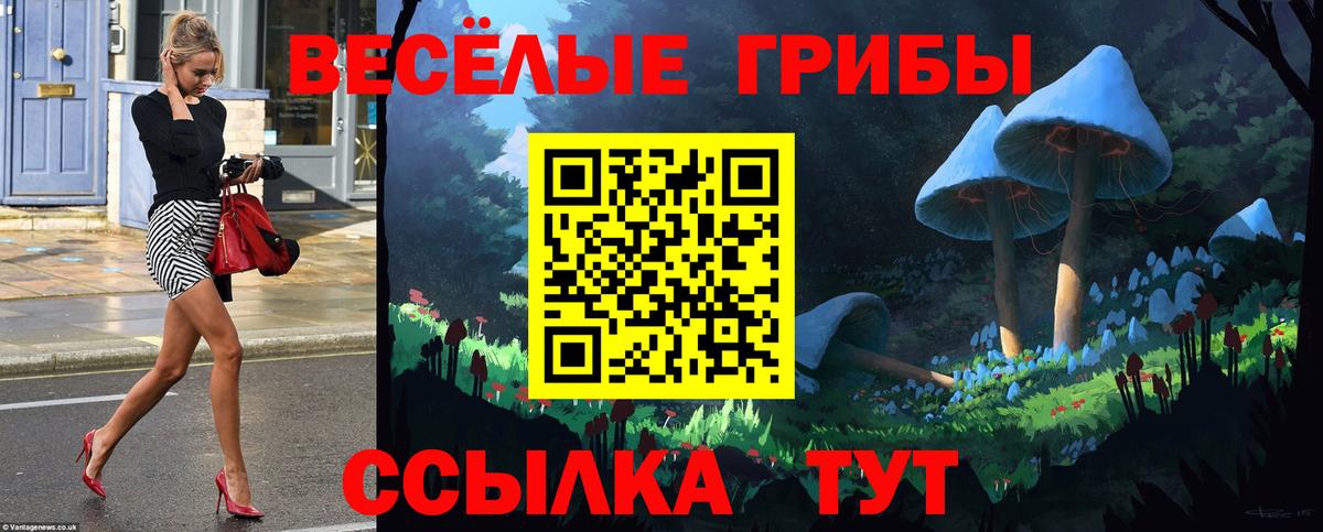 Псилоцибиновые грибы Psilocybine cubensis  магазин    Елец  Вход с VPN 